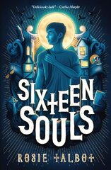 Sixteen Souls цена и информация | Книги для подростков и молодежи | kaup24.ee