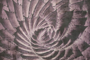 Фотообои - Абстрактный кактус 375x250 см цена и информация | Фотообои | kaup24.ee
