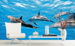 Fototapeet - Delfiinid 375x250 cm hind ja info | Fototapeedid | kaup24.ee