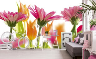 Фотообои - Весенние цветы 375x250 см цена и информация | Фотообои | kaup24.ee