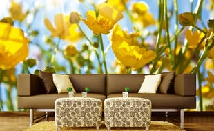 Fototapeet - Kollased lilled niidul 375x250 cm hind ja info | Fototapeedid | kaup24.ee