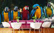 Fototapeet - Mitmevärvilised papagoid 375x250 cm цена и информация | Fototapeedid | kaup24.ee