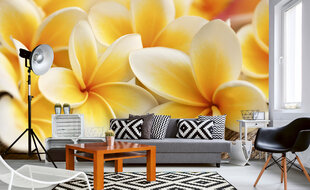 Fototapeet - Plumeria 375x250 cm цена и информация | Фотообои | kaup24.ee