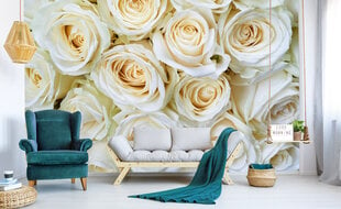 Фотообои - Белые розы 375x250 см цена и информация | Фотообои | kaup24.ee