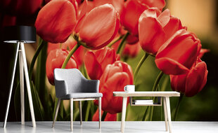 Фотообои - Красные тюльпаны 375x250 см цена и информация | Фотообои | kaup24.ee