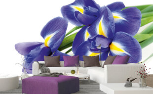 Fototapeet - Iiris 375x250 cm цена и информация | Фотообои | kaup24.ee