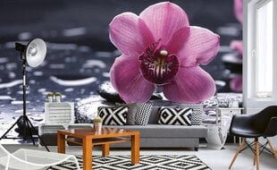 Фотообои - Орхидеи 375х250 см цена и информация | Фотообои | kaup24.ee