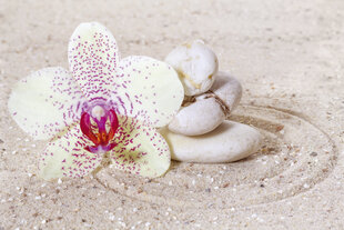 Фотообои - Расслабляющий песок 375x250 см цена и информация | Фотообои | kaup24.ee