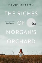 Riches of Morgan's Orchard цена и информация | Фантастика, фэнтези | kaup24.ee