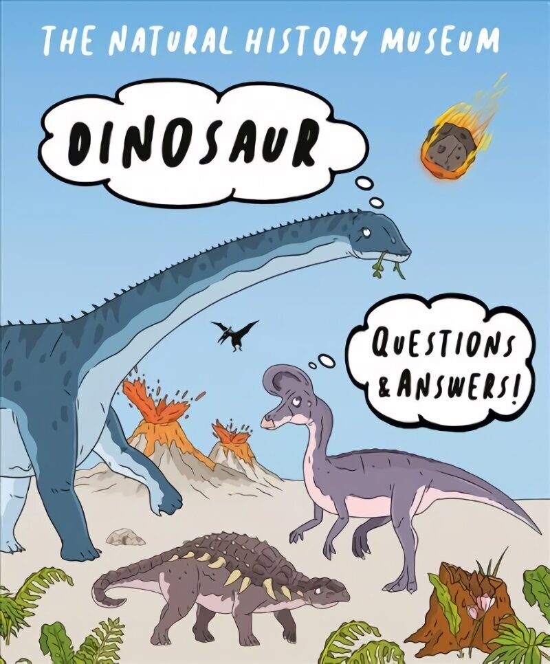 Dinosaur Questions & Answers hind ja info | Noortekirjandus | kaup24.ee