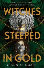 Witches Steeped in Gold цена и информация | Книги для подростков и молодежи | kaup24.ee