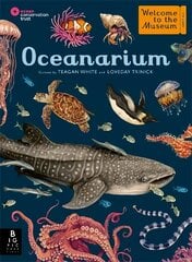 Oceanarium цена и информация | Книги для подростков и молодежи | kaup24.ee