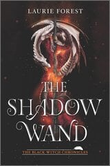 Shadow Wand First Time Trade ed. цена и информация | Книги для подростков и молодежи | kaup24.ee