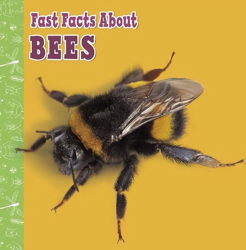 Fast Facts About Bees цена и информация | Noortekirjandus | kaup24.ee