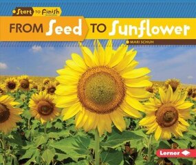 From Seed to Sunflower цена и информация | Книги для подростков и молодежи | kaup24.ee