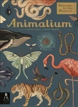 Animalium hind ja info | Tervislik eluviis ja toitumine | kaup24.ee