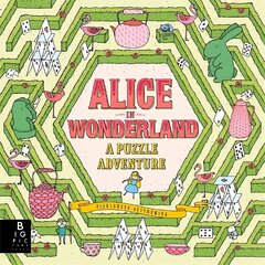 Alice in Wonderland: A Puzzle Adventure цена и информация | Книги для подростков и молодежи | kaup24.ee