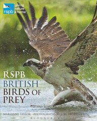 RSPB British Birds of Prey цена и информация | Книги по фотографии | kaup24.ee