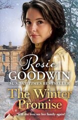 Winter Promise: A perfect cosy Victorian saga from the Sunday Times bestselling author hind ja info | Fantaasia, müstika | kaup24.ee