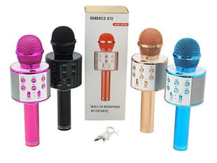 Микрофон караоке с динамиком 12936 цена и информация | Развивающие игрушки | kaup24.ee