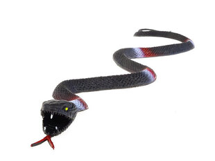 Эластичная змейка 12956, 50 см цена и информация | Развивающие игрушки | kaup24.ee