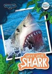 Teeth to Tail of a Great White Shark цена и информация | Книги для подростков и молодежи | kaup24.ee