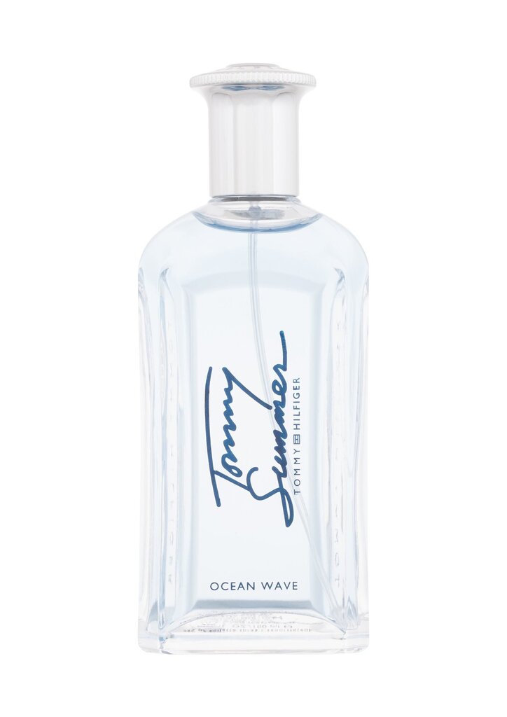 Tualettvesi meestele Tommy Hilfiger Tommy Summer Ocean Wave EDT, 100 ml цена и информация | Meeste parfüümid | kaup24.ee