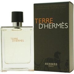 Hermes Terre d'Hermes EDT meestele 100 ml hind ja info | Hermès Kosmeetika, parfüümid | kaup24.ee