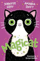 Magicat цена и информация | Книги для подростков и молодежи | kaup24.ee