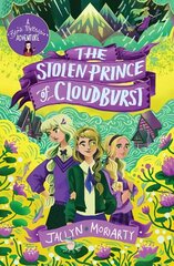 Stolen Prince Of Cloudburst цена и информация | Книги для подростков и молодежи | kaup24.ee