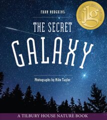 Secret Galaxy цена и информация | Книги для подростков и молодежи | kaup24.ee