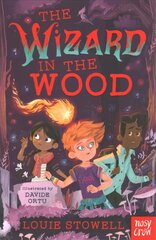 Wizard in the Wood hind ja info | Noortekirjandus | kaup24.ee