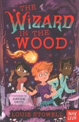 Wizard in the Wood hind ja info | Noortekirjandus | kaup24.ee