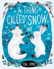 Thing Called Snow 1 цена и информация | Книги для подростков и молодежи | kaup24.ee