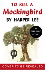 To Kill a Mockingbird: The stunning graphic novel adaptation hind ja info | Fantaasia, müstika | kaup24.ee