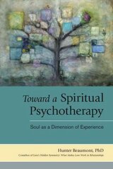 Toward a Spiritual Psychotherapy: Soul as a Dimension of Experience hind ja info | Eneseabiraamatud | kaup24.ee