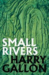 Small Rivers цена и информация | Фантастика, фэнтези | kaup24.ee
