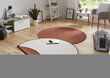 Vaip NORTHRUGS Twin Miami Terra Cream, 200x200 cm hind ja info | Vaibad | kaup24.ee