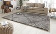 Vaip Hanse Home Allure 160x230 cm, hall цена и информация | Vaibad | kaup24.ee