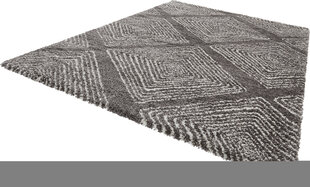 Mint Rugs vaip Wire, 200x290 cm hind ja info | Vaibad | kaup24.ee