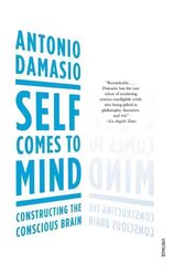 Self Comes to Mind: Constructing the Conscious Brain цена и информация | Книги по экономике | kaup24.ee