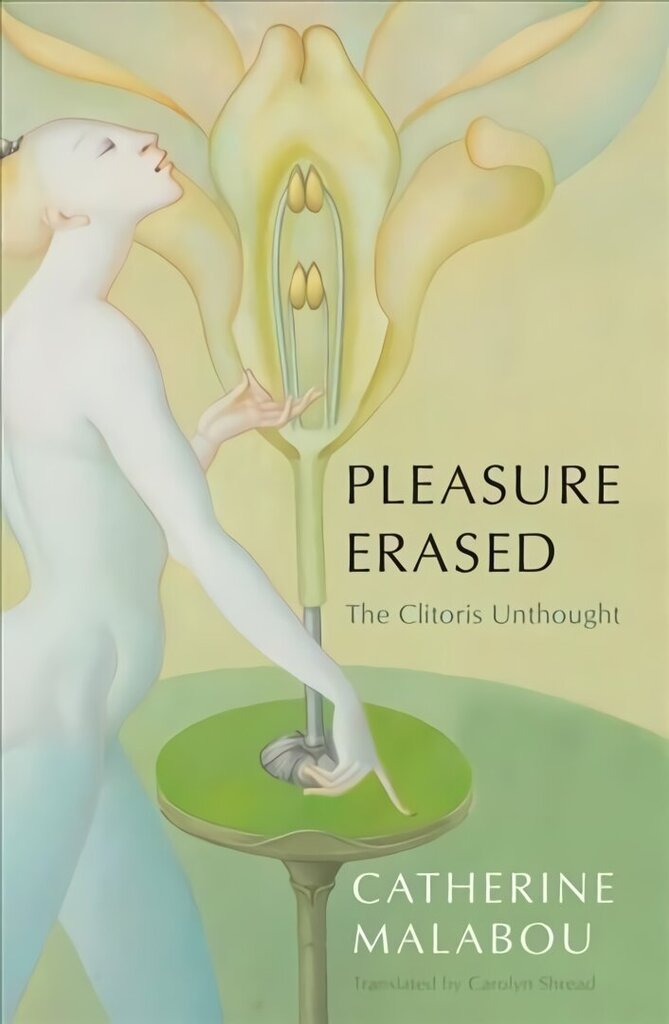Pleasure Erased: The Clitoris Unthought: The Clitoris Unthought цена и информация | Ajalooraamatud | kaup24.ee