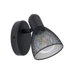 Настенный светильник Eglo Carovigno 98621 цена и информация | Настенные светильники | kaup24.ee