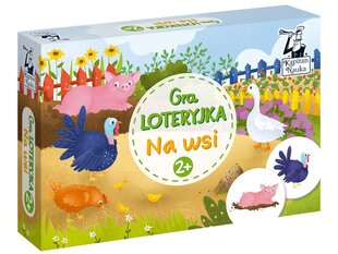 Kapteni teadusmängu küla loterii 2+ GR0470 цена и информация | Развивающие игрушки | kaup24.ee