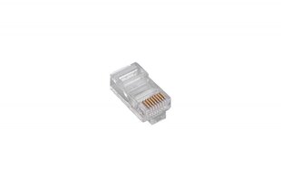 ASSMANN RJ45 Cat5e универсальный одножильный/многожильный 8P8C 100шт цена и информация | Assmann Бытовая техника и электроника | kaup24.ee