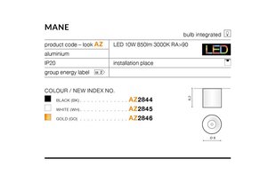 Laevalgusti AZzardo Mane AZ2844 hind ja info | Laelambid | kaup24.ee