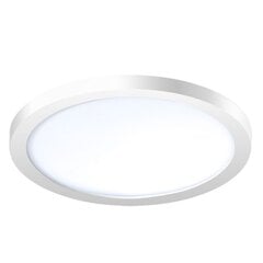 Süvistatav lamp AZzardo Slim AZ2842 цена и информация | Монтируемые светильники, светодиодные панели | kaup24.ee