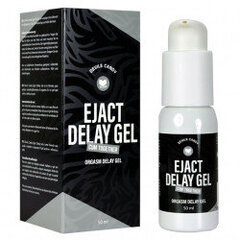 Devils candy - ejact delay gel hind ja info | Lubrikandid | kaup24.ee