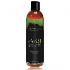 Intimate earth - massage oil grass 240 ml цена и информация | Массажные масла | kaup24.ee