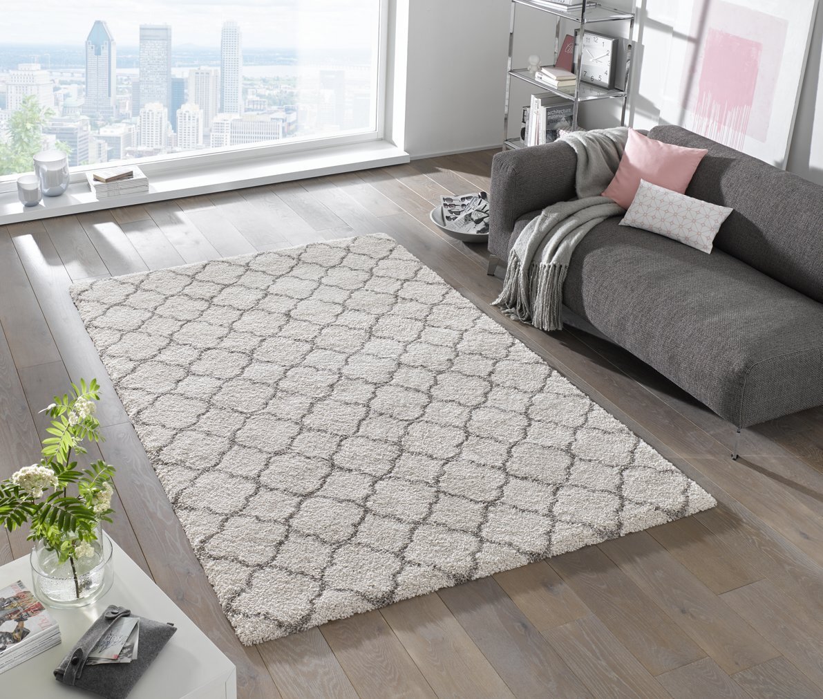 Vaip Hanse Home Grace 102601, 200x290 cm цена и информация | Vaibad | kaup24.ee